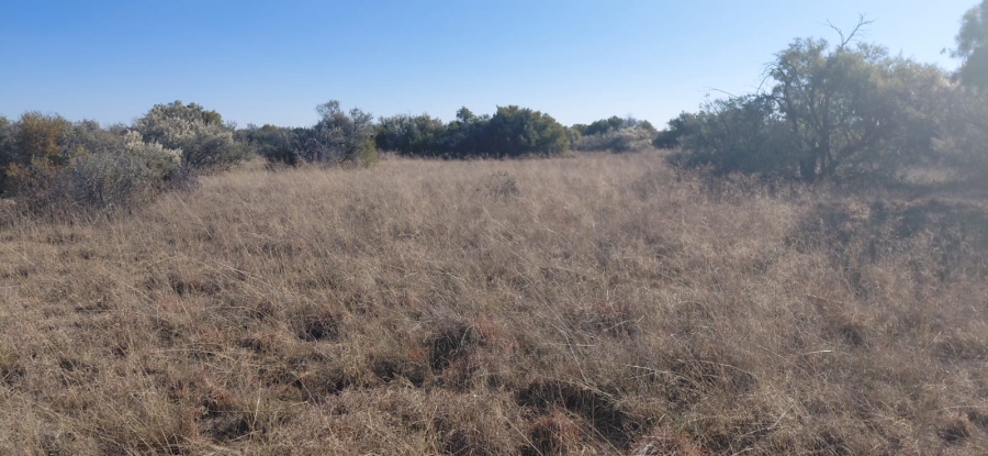 Commercial Property for Sale in Reivilo Northern Cape